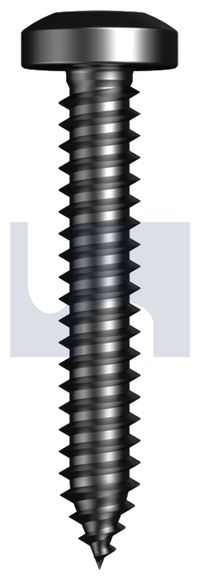 SCREW STS PAN PHIL BLACK ZINC 10 GA X 3/4 (20MM)